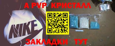 мет Кингисепп