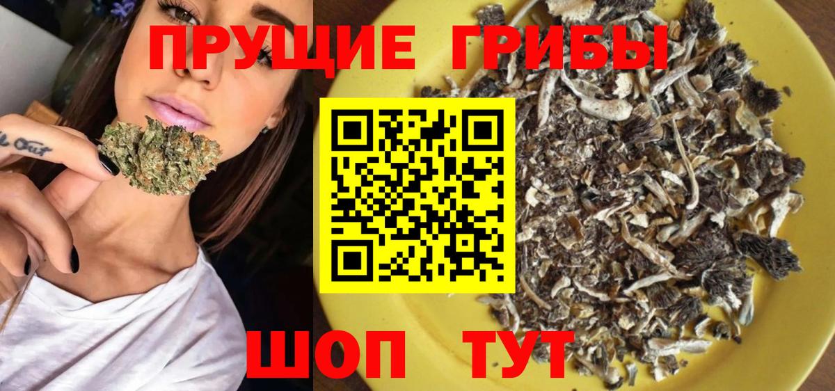 Псилоцибиновые грибы GOLDEN TEACHER  Вход с VPN  Кировск 