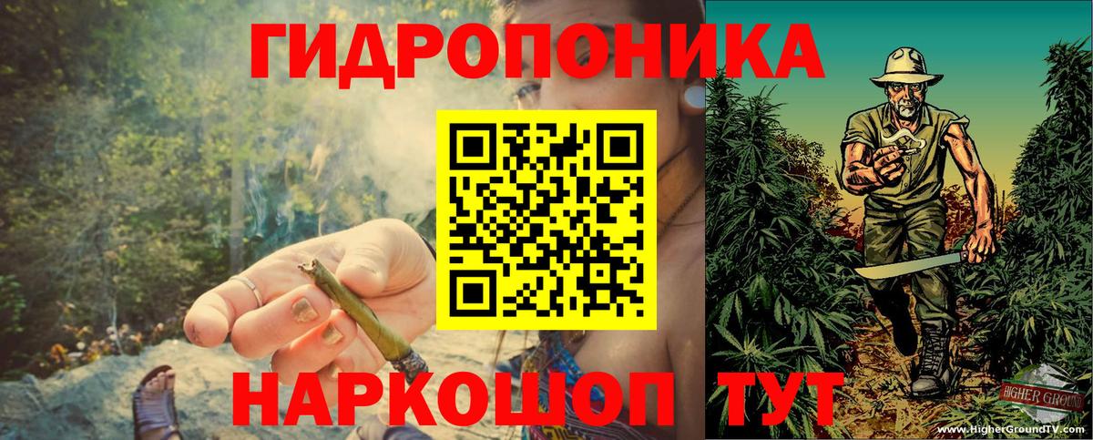 Бошки Шишки конопля Кировск